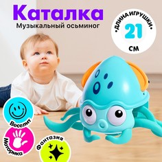 Каталка музыкальная No Brand