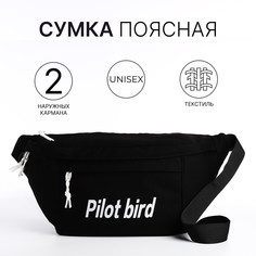 Сумка на одно плечо на молнии, 2 наружных кармана, цвет черный No Brand