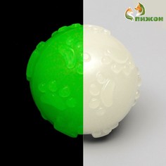 Игрушка для собак, светящаяся в темноте, Пижон