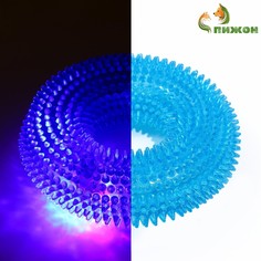 Игрушка светящаяся для собак Пижон