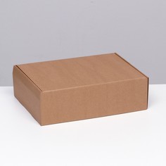 Коробка самосборная, бурая, 31 х 22 х 9,5 см набор 5 шт No Brand