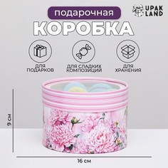 Коробка для макарун тубус с окном No Brand