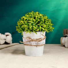 Кашпо Take IT Easy