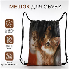 Мешок для обуви на шнурке, цвет коричневый No Brand