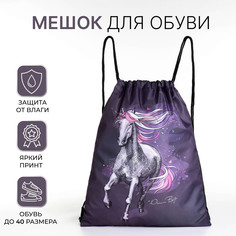 Мешок для обуви на шнурке, цвет фиолетовый No Brand