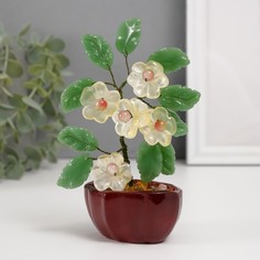 Сувенир бонсай No Brand