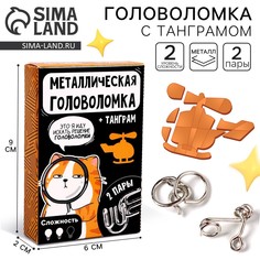 Металлическая головоломка Puzzle
