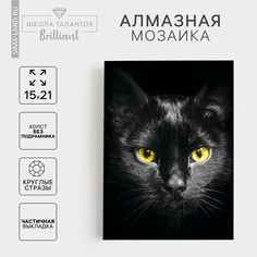 Алмазная мозаика с частичным заполнением на холсте Школа талантов
