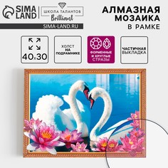 Алмазная мозаика с частичным заполнением и форменными стразами на раме Школа талантов