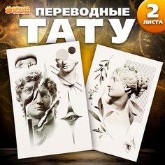 Татуировки переводные Школа талантов