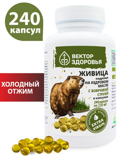 ЖИВИЦА КЕДРОВАЯ на кедровом масле с бобровой струей, 240 капсул Простые решения