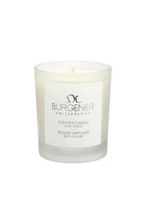 Свеча "Оливковое дерево" (160g) Dr.Burgener