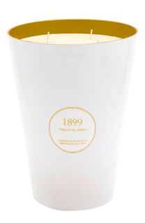 Свеча Tobacco & Amber (3500g) Cereria Molla 1899