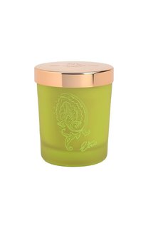 Парфюмированная свеча Dafne (170g) Etro