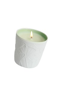 Свеча Mousse Arashiyama (190g) Le Jardin Retrouve