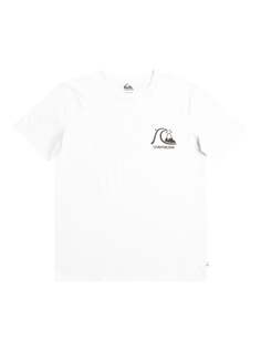 Футболка QUIKSILVER THEORIGINAL TEE