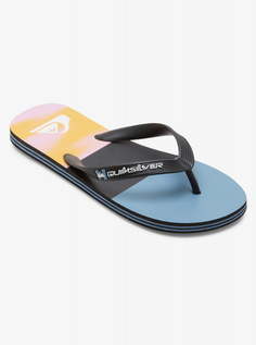 Мужские сланцы Molokai Quiksilver