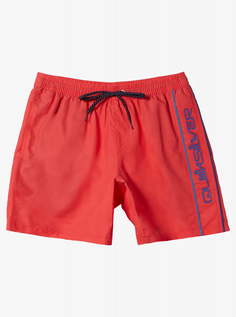 Мужские Пляжные шорты Everyday Vert Volley 16" Quiksilver