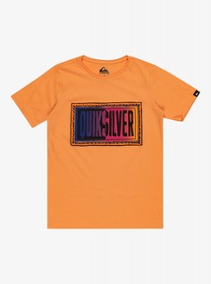 Детская футболка Day Tripper (8-16 лет) Quiksilver