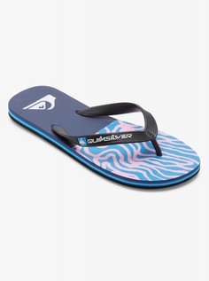 Мужские сланцы Molokai Art Quiksilver