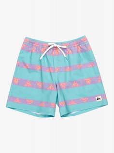 Мужские Пляжные шорты Take Us Back Volley 17" Quiksilver