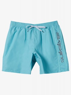 Мужские купальные шорты Everyday Vert Volley 16" Quiksilver