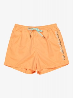 Мужские Пляжные шорты Behind Waves 15" Quiksilver