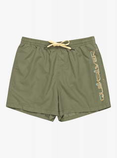 Мужские Пляжные шорты Behind Waves 15" Quiksilver