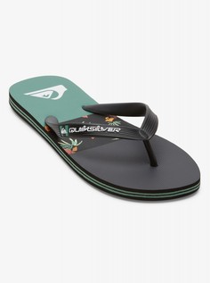 Мужские сланцы Molokai Stripe Quiksilver