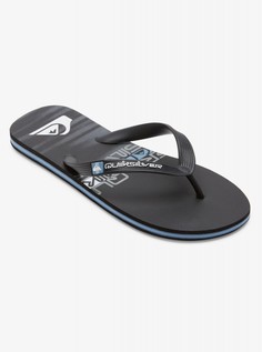 Мужские сланцы Molokai Stripe Quiksilver