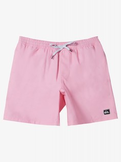 Мужские купальные шорты Everyday Solid Volley 15" Quiksilver