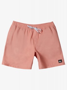 Мужские купальные шорты Everyday Solid Volley 15" Quiksilver