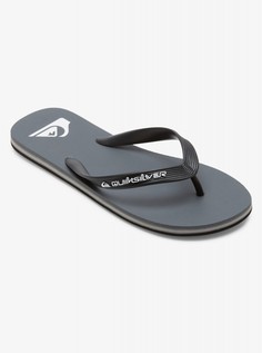 Мужские сланцы Molokai Core Quiksilver