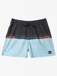 Мужские купальные шорты Everyday Wordblock Volley 17" Quiksilver
