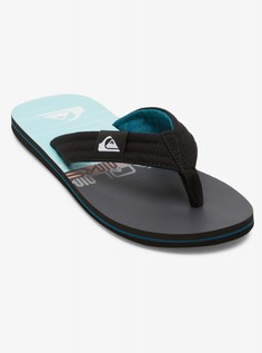Мужские сланцы Molokai Layback Quiksilver