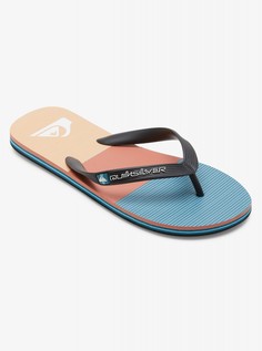 Мужские сланцы Molokai Stripe Quiksilver