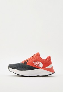 Кроссовки The North Face