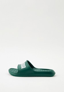 Сланцы PUMA
