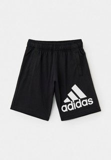 Шорты спортивные adidas