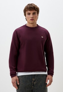 Свитшот Dickies