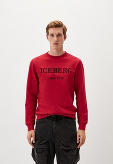Свитшот Iceberg