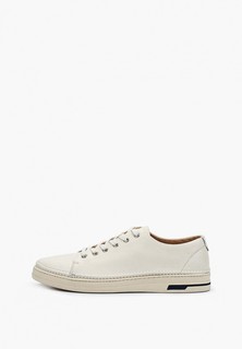 Кеды Tendance