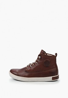 Кеды Blackstone