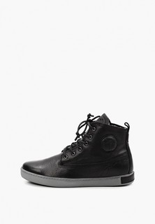 Кеды Blackstone
