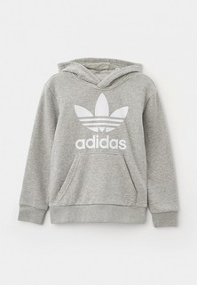 Худи adidas Originals