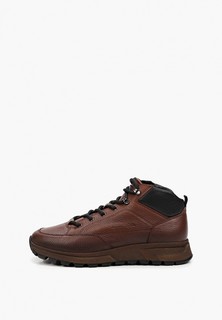 Кроссовки Vittorio Bravo