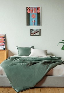 Постельное белье Евро LaPrima