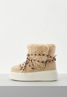 Луноходы Ash