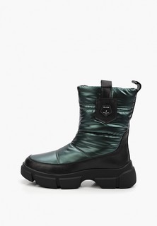Дутики Ascalini