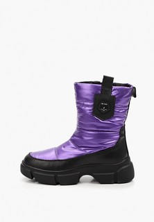 Дутики Ascalini